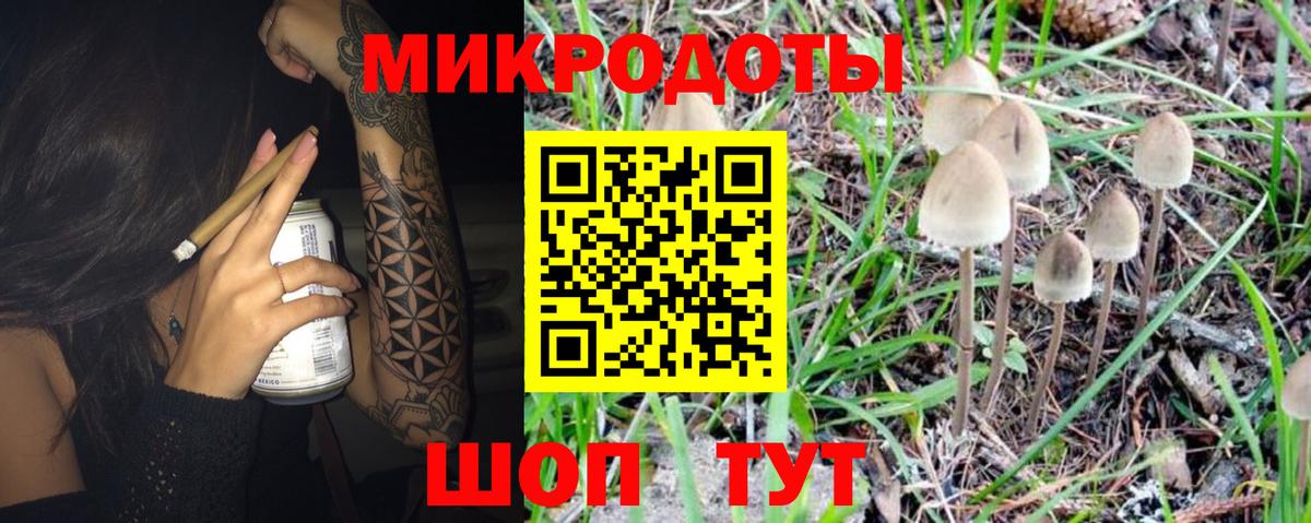 Галлюциногенные грибы мухоморы Гатчина