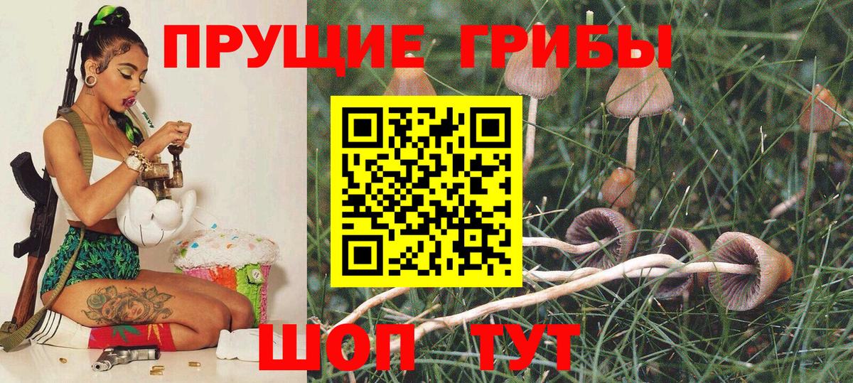 Гатчина  купить наркоту  Вход с VPN  Галлюциногенные грибы Cubensis 